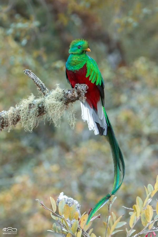 Cabinas El Quetzal サン・ヘラルド・デ・ドタ エクステリア 写真