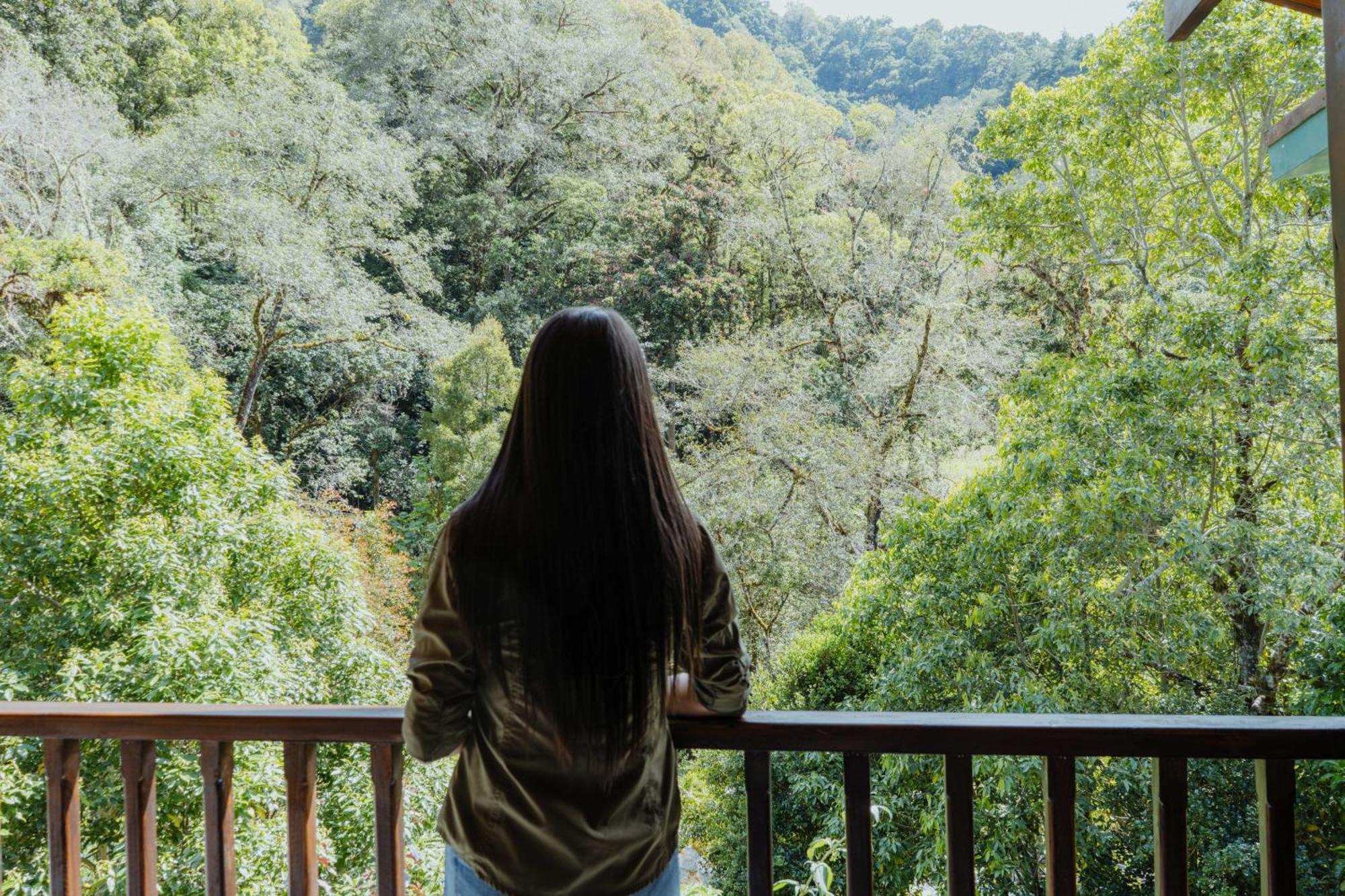 Cabinas El Quetzal サン・ヘラルド・デ・ドタ エクステリア 写真